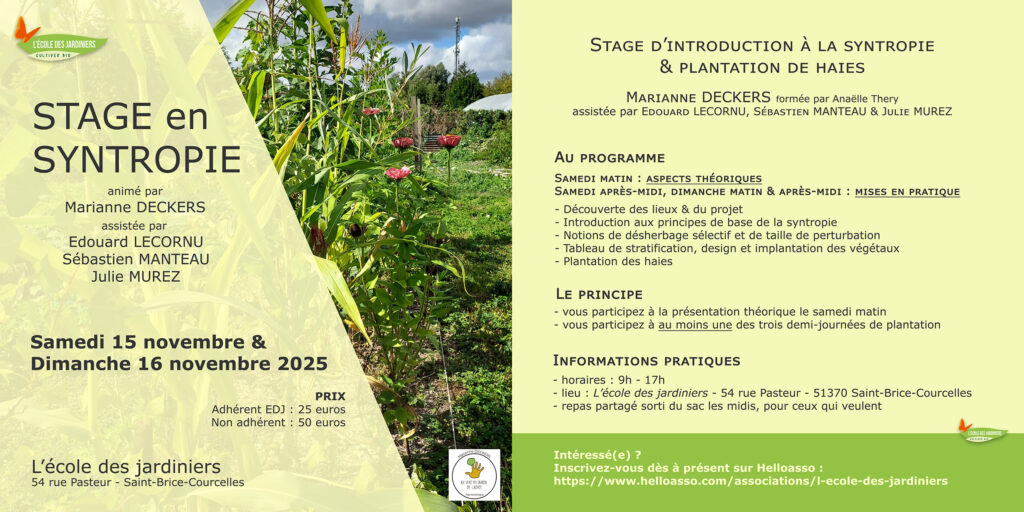 Programme du stage en syntropie à L'école des jardiniers les 15 et 16 novembre 2025