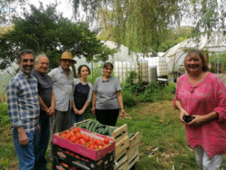 Récolte du 16 août 2024 : 134 kg Jardiniers devant leur récolte