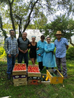 Récolte du 19 août 2024 : 80 kg Jardiniers devant leur récolte