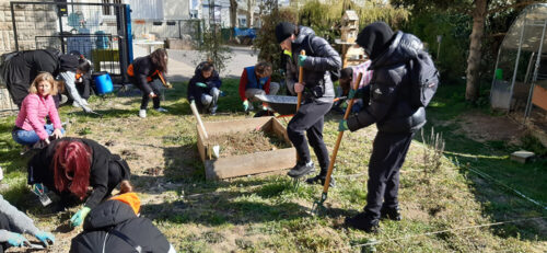 Désherbage - UnisCité / Reims Groupe en train de désherber un jardin urbain