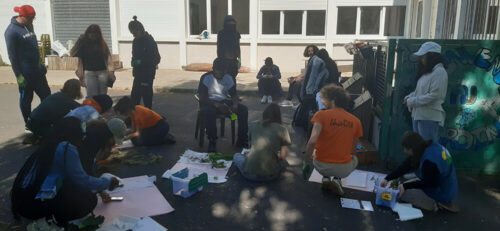 Réalisation d'un herbier - UnisCité / Reims Groupe installé au sol avec des plantes et du papier pour élaborer un herbier