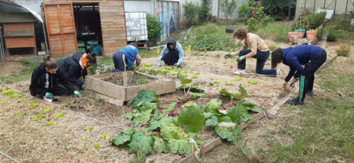 Jardinage - UnisCité / Reims Jardinage en groupe