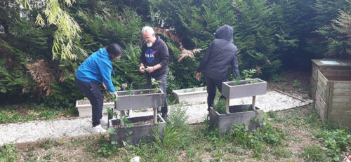 Entretien des jardinières- UnisCité / Reims 3 personnes entretenant des jardinières