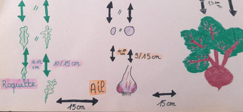 Plan de culture - UnisCité / Reims Extrait d'un dessin d'un plan de culture
