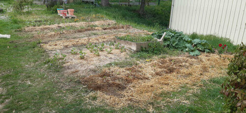 Planches de culture Planches de culture