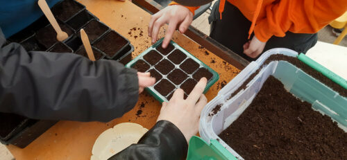 Premiers semis - UnisCité / Reims Mains en train de réaliser des semis