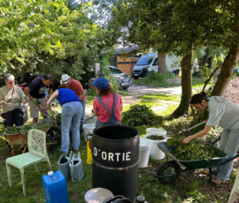 Atelier purin d'ortie Groupe dans un jardin préparant du purin d'ortie