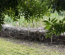 Haie sèche Haie sèche - L'école des jardiniers