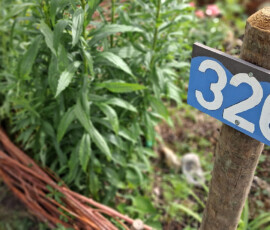 Panneau : 326 et plessis Panneau en bois numéroté