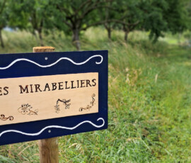 Panneau : Les mirabelliers Panneau en bois indiquant la zone des mirabelliers