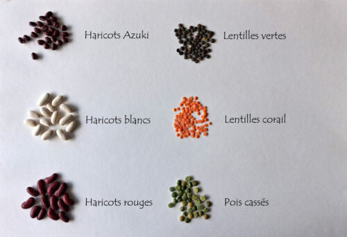 6 légumineuses Graines de 6 légumineuses