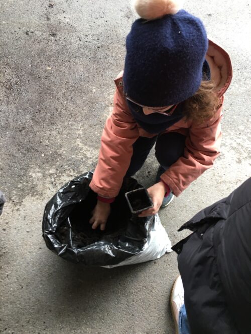 Semis de haricot coco - Fabuleuses légumineuses Enfant mettant de la terre dans un godet à semis