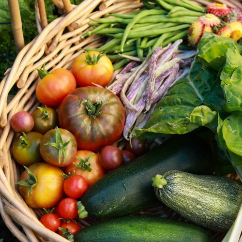 Panier de fruits et légumes frais