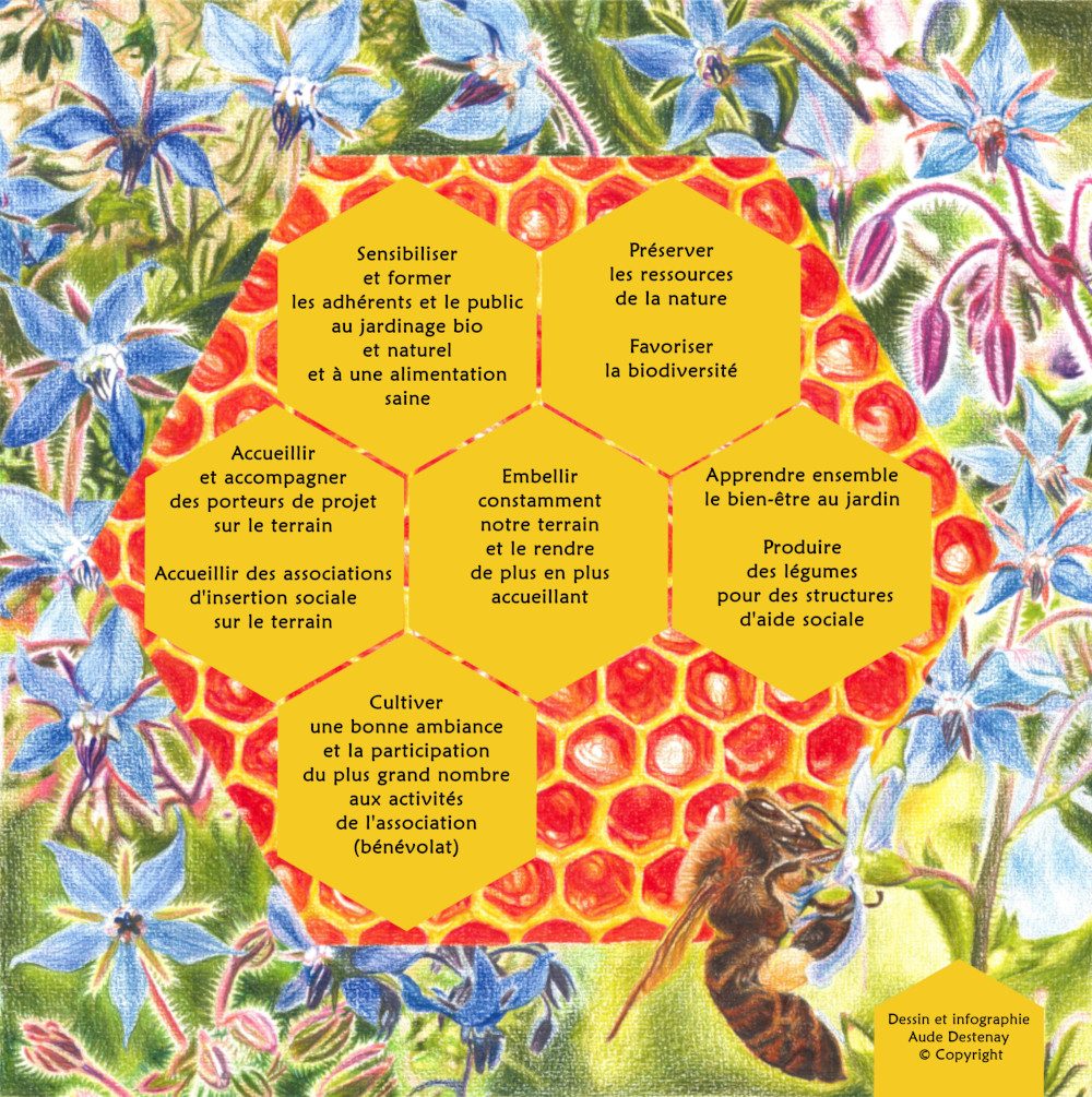 Les missions de l'association de l'Ecole des jardiniers (Reims) sur fond de dessin d'Aude Destenay représentant les alvéoles d'une ruche et une abeille butineuse de bourrache